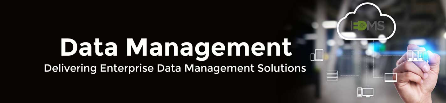 Data Management, Enterprise Services, Business Decisions