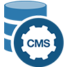 CMS website design and development